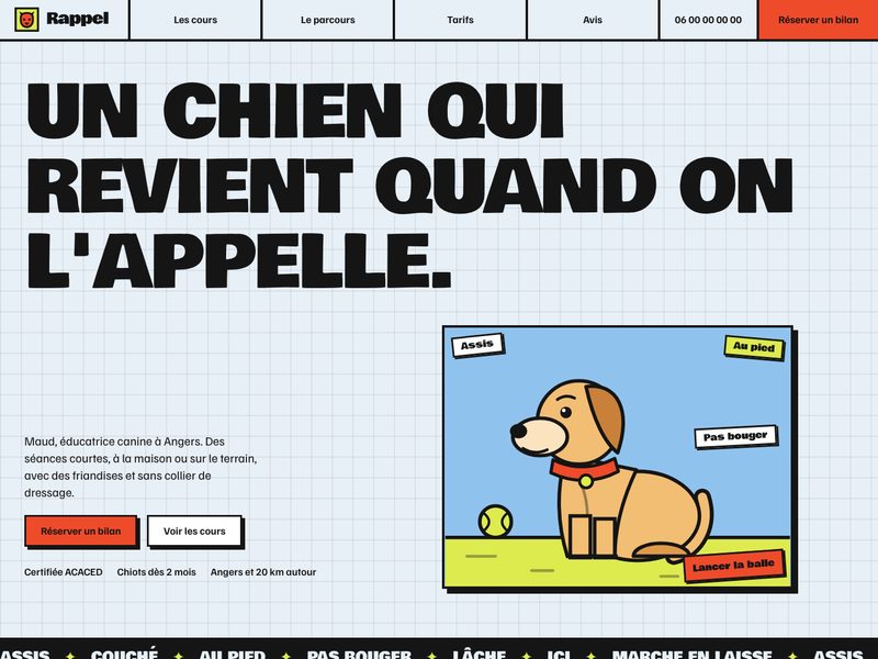 Aperçu ordinateur du template Rappel